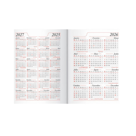 Agenda Diária 2026 Personalizada